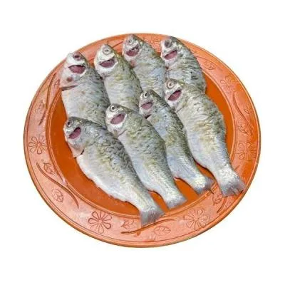 দেশি সরপুটি